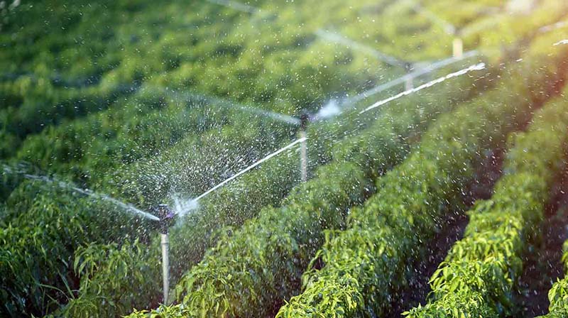 Irrigation sprinklers